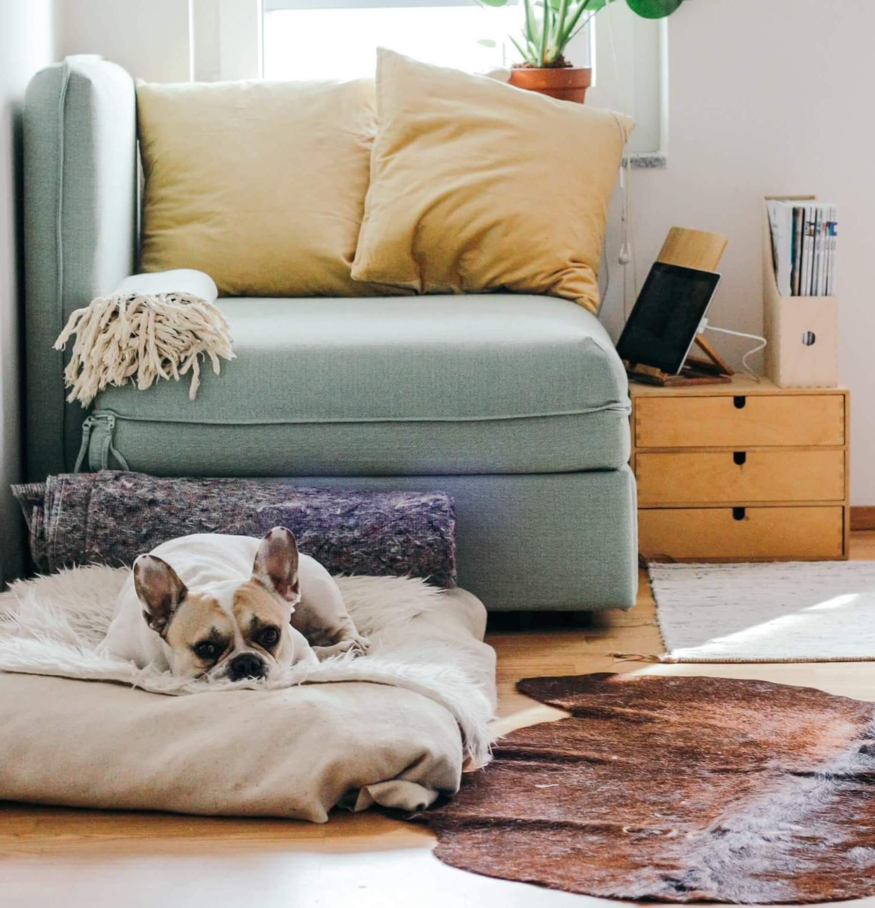 Real Estate Resources You Can Trust