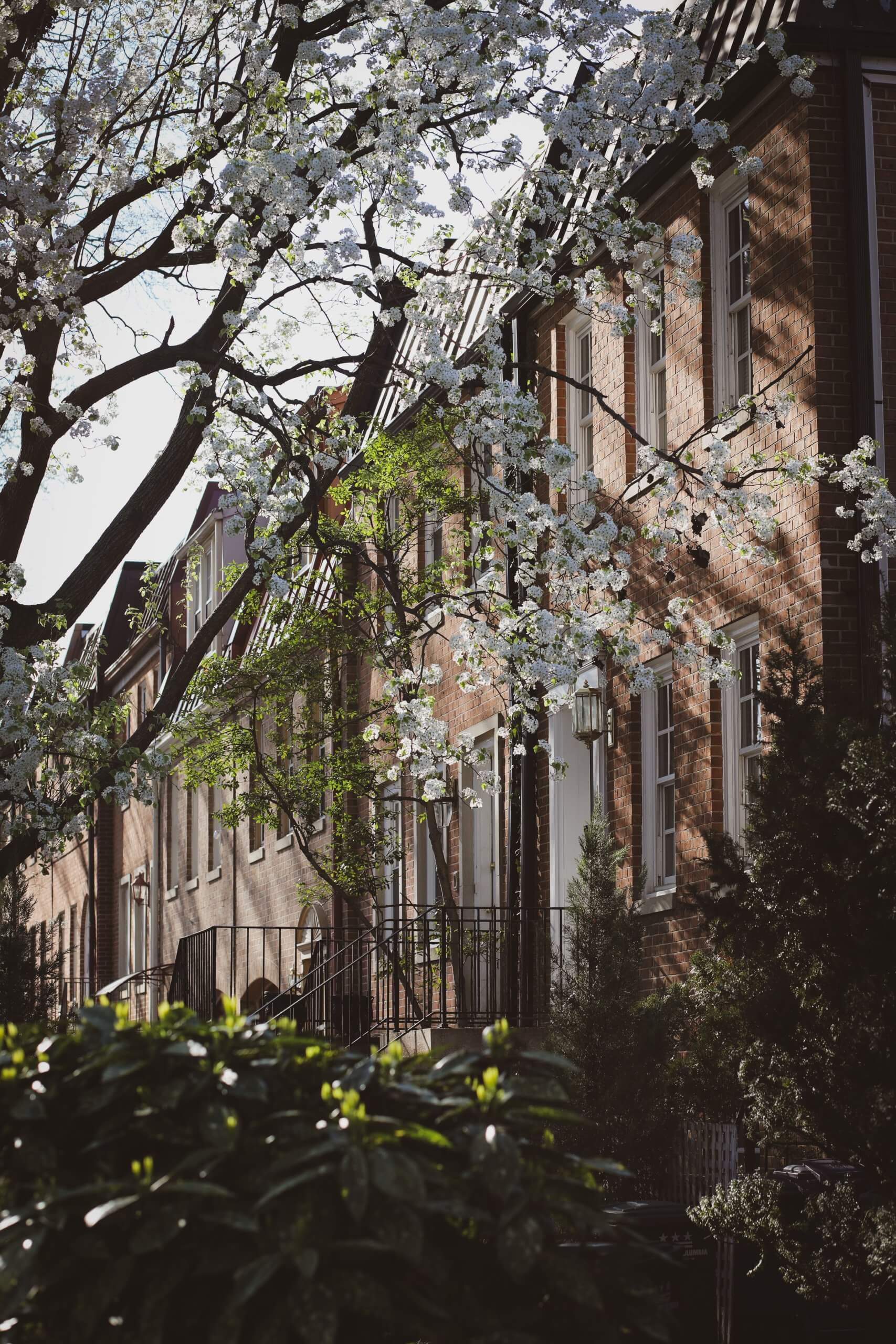 Why is it important?